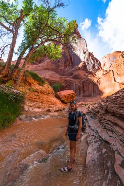 Kız uzun yürüyüşe çıkan kimse Backpacker çakal Gulch Escalante içinde
