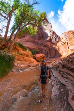 Girl Hiker Backpacker in Coyote Gulch Escalante clipart