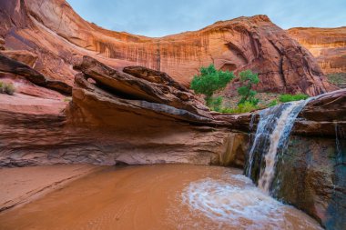  ABD, Utah, Escalante vahşi. Çakal Gulch şelale