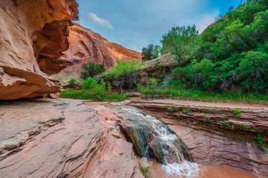  ABD, Utah, Escalante vahşi. Çakal Gulch şelale