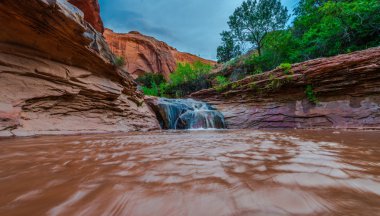  ABD, Utah, Escalante vahşi. Çakal Gulch şelale