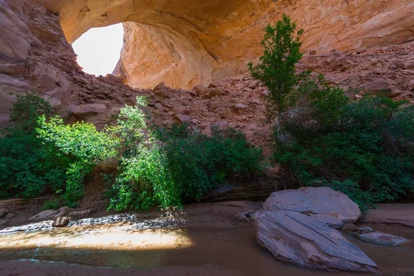 Sol espreitando através do Jacob Hamblin Arch — Fotografia de Stock