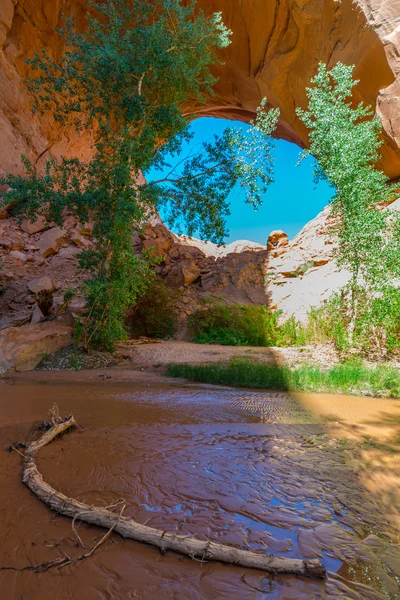 Beautiful Jacob Hamblin Arch in Coyote Gulch — Stock Photo, Image