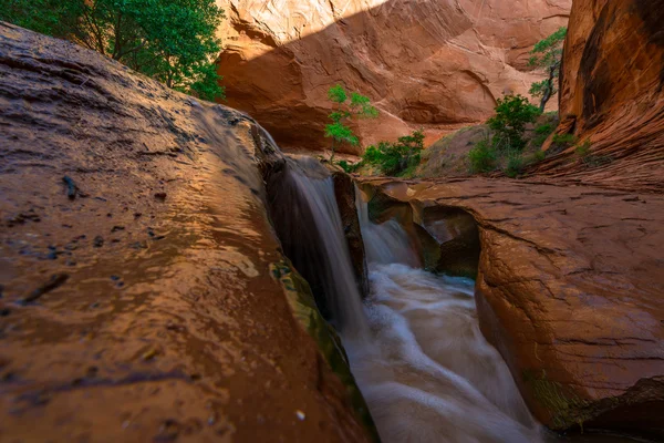 Hermosa cascada en Coyote Gulch — Foto de Stock