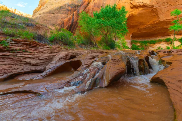 Beautiful Cascade in Coyote Gulch — Stock Photo, Image