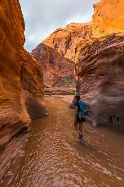 Gå ner Coyote Gulch flicka Hiker Backpacker i vattnet, — Stockfoto