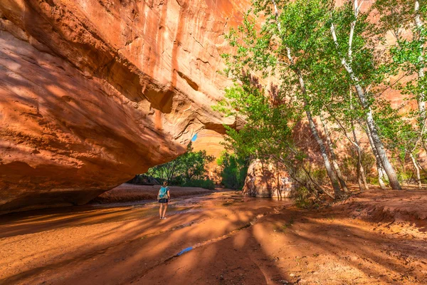 Flicka Backpacker gå under naturliga bron Arch Coyote Gulch — Stockfoto