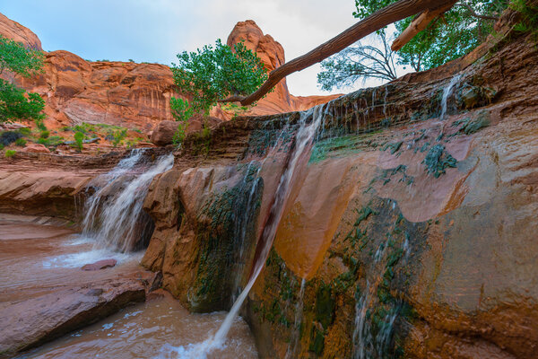 Нижний водопад Койотского залива
