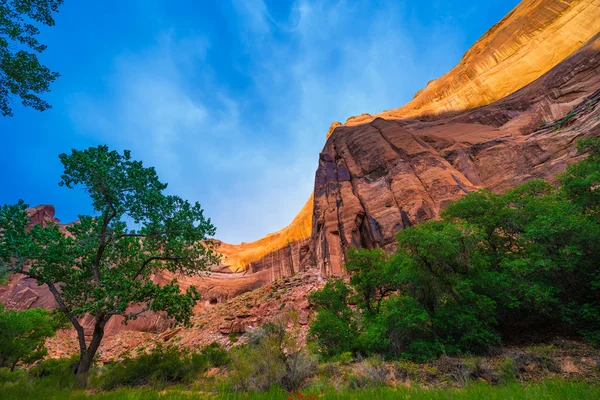 Kanjon vägg lock av solnedgången ljus vacker Coyote Gulch landskap — Stockfoto