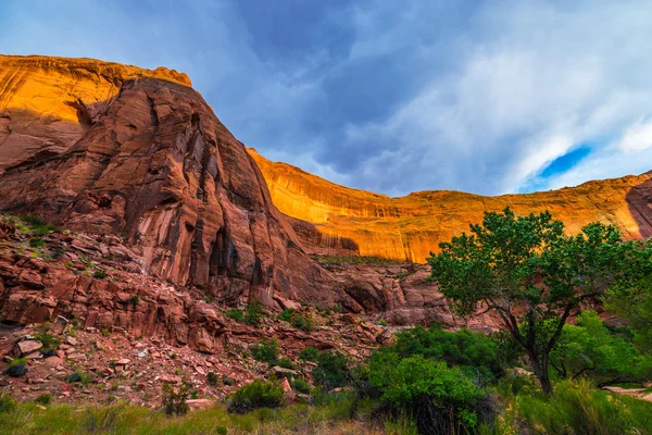 Kaňonu zdi víko světlem slunce krásné Coyote Gulch krajina — Stock fotografie