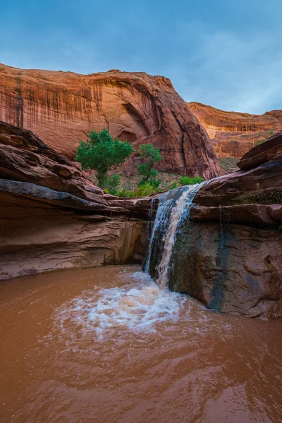 USA, Utah, Escalante Wilderness. Waterfall in Coyote Gulch — Stock Photo, Image