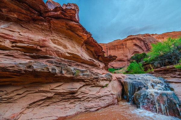  США, Utah, Escalante Wilderness. Водопад в заливе Койот
