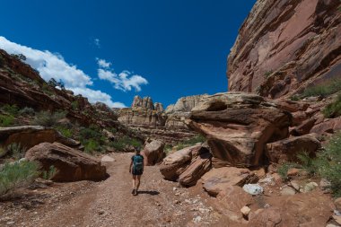 Uzun yürüyüşe çıkan kimse Backpacker Grand yıkama iz yürüyüş