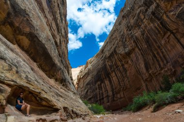 Grand yıkama iz Capitol resif