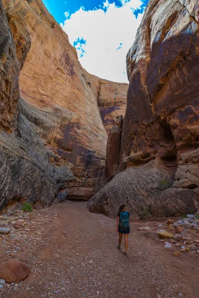 Hiker Backpacker walking down the Grand Wash Trail — Stock Photo, Image