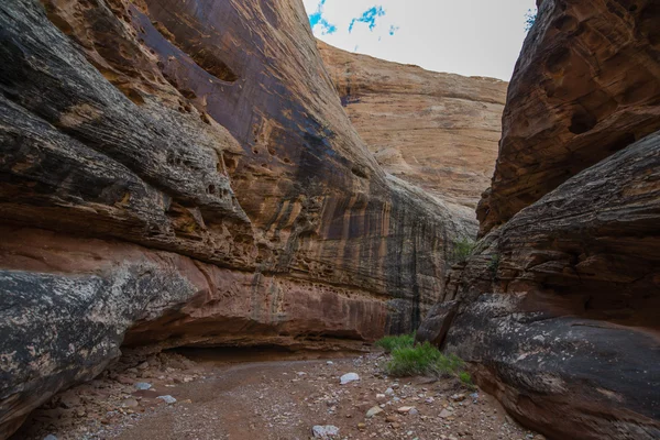 Grand Wash poblíž severovýchodní Trailhead — Stock fotografie