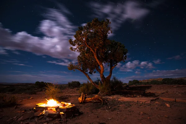 Hoguera bajo las estrellas —  Fotos de Stock