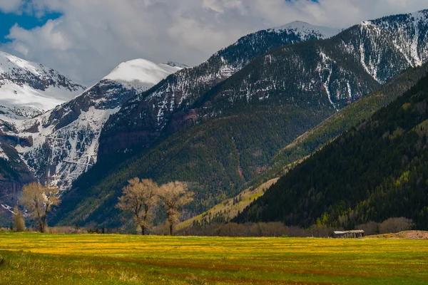 Colorado Landscape Telluride — Stock Photo, Image