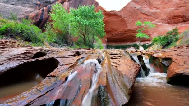 Kaskad i Coyote Gulch stora trappan Escalante Steady — Stockvideo