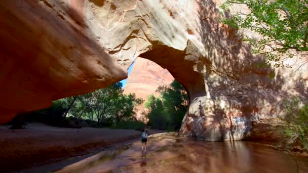 Девушка-бэкпекер прогуливается под аркой моста Coyote Gulch — стоковое видео