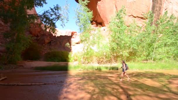 Kadın uzun yürüyüşe çıkan kimse Backpacker Jacob Hamblin Arch çakal Gulch yavaş Pan sağ geniş açı çekim yakınındaki — Stok video