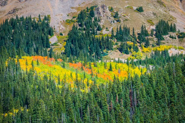 Corazón en forma de follaje de octubre Colorado Rockies — Foto de Stock