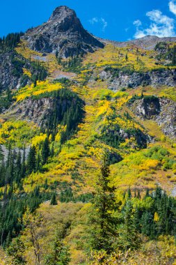 Colorado sonbahar yaprakları muamma sıcak Springs iz
