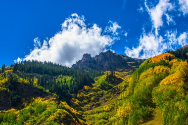 Colorado Fall Foliage Conundrum Hot Springs Trail clipart