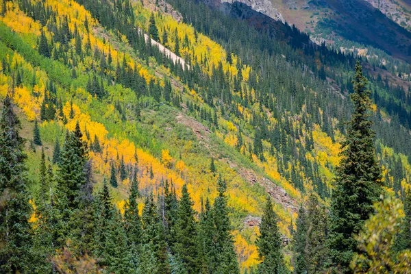 科罗拉多州秋天树叶难题热泉踪迹 — 图库照片