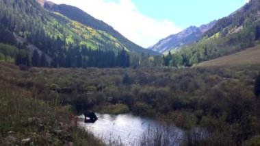 Rockies Mus