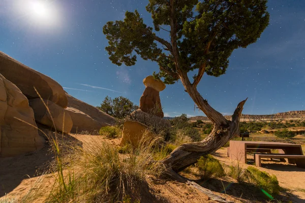 Devils Garden Escalante at Night Picnic Table lid by moon light — Stock Photo, Image