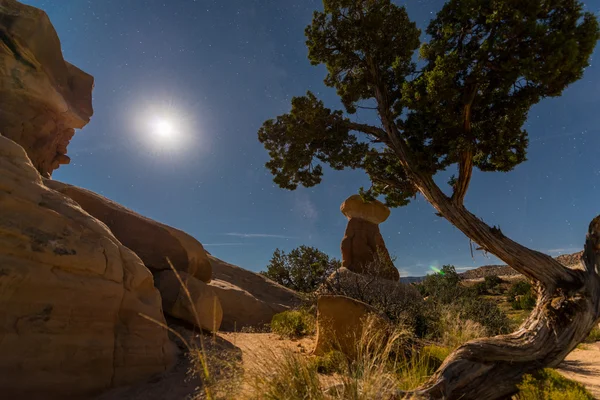 Devils Garden Escalante at Night — Stock Photo, Image