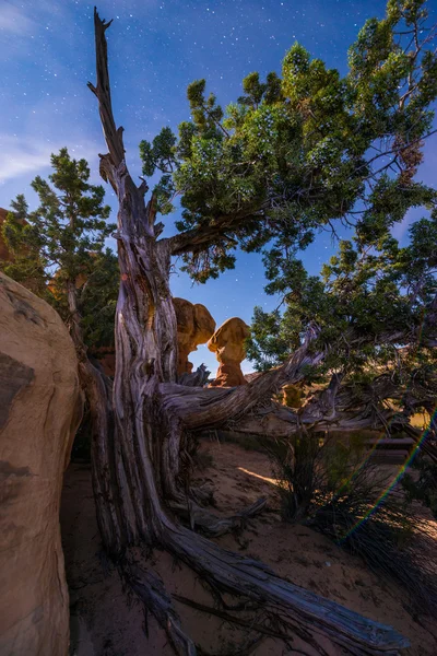 Jardín de los demonios Escalante por la noche —  Fotos de Stock