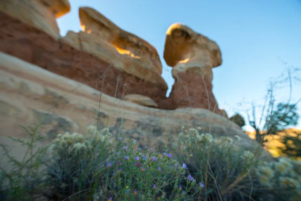 Devils Garden Escalante při východu slunce — Stock fotografie