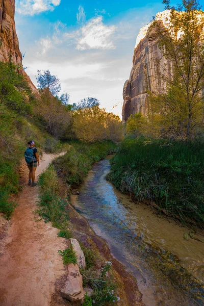 Vandrare, kalv Creek Canyon Trail — Stockfoto