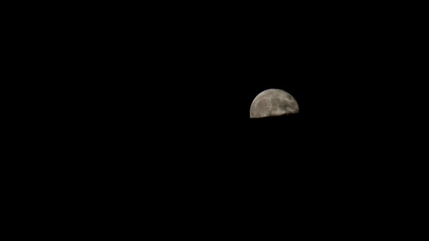 满月在云层之上上升 — 图库视频影像