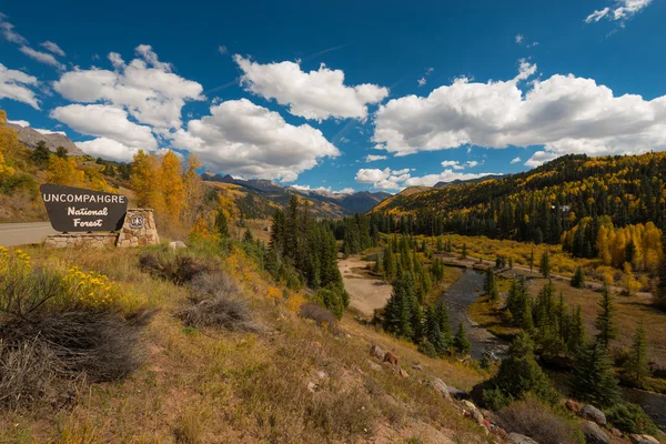 Estrada da Floresta Nacional Uncompahgre para Telluride — Fotografia de Stock