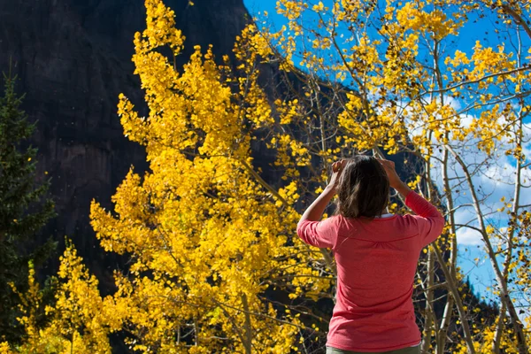 Mulher tirando foto de árvore de álamo, dia ensolarado de outono Colorado — Fotografia de Stock
