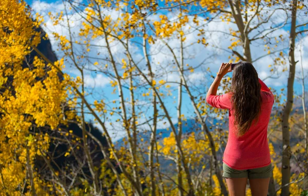 Mujer tomando foto de árbol de álamo, día soleado de otoño Colorado —  Fotos de Stock