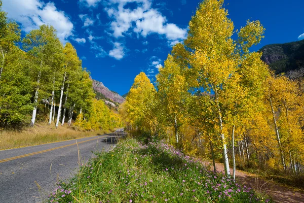 E snelweg 145 Spur Telluride Colorado Fall kleuren — Stockfoto