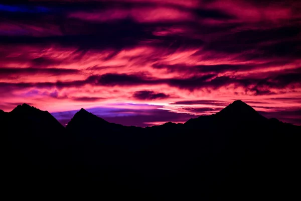 Горные павлины на закате — стоковое фото