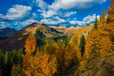 Colorado fall foliage clipart