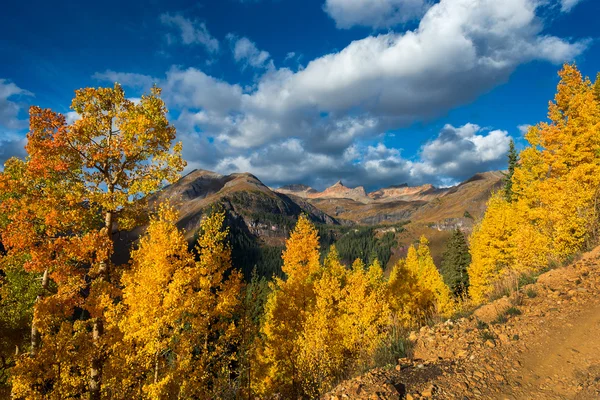 Colorado sonbahar yaprakları — Stok fotoğraf