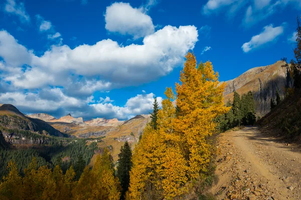 Folhagem de outono Colorado — Fotografia de Stock