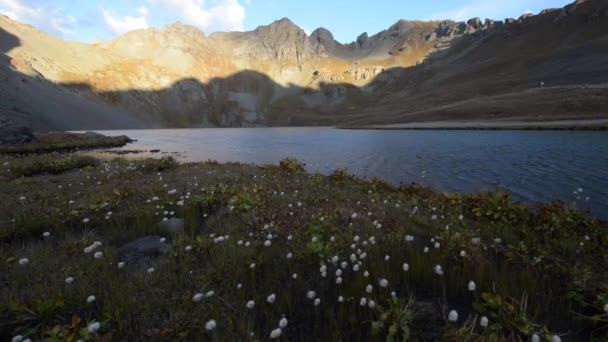 Divoké květiny jasné jezero poblíž Silverton San Juan hory — Stock video