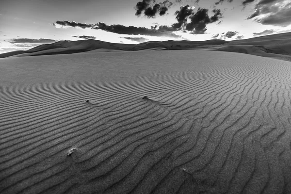 Paisaje del desierto blanco y negro —  Fotos de Stock