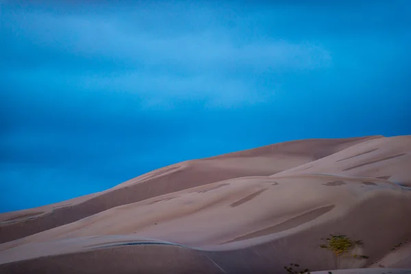 Öknen landskap stora sanddyner — Stockfoto