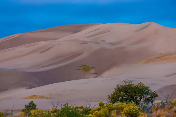 Desert paysage arrière-plan — Photo