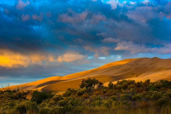 Öken soluppgång Colorado Usa — Stockfoto