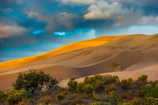 Desert Sunrise Colorado États-Unis — Photo